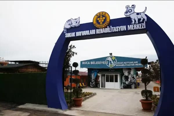 Buca Belediyesi Sokak Hayvanları Rehabilitasyon Merkezi BUCA RM - Veteriner - İzmir Buca