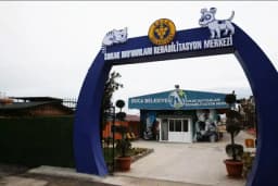 Buca Belediyesi Sokak Hayvanları Rehabilitasyon Merkezi BUCA RM