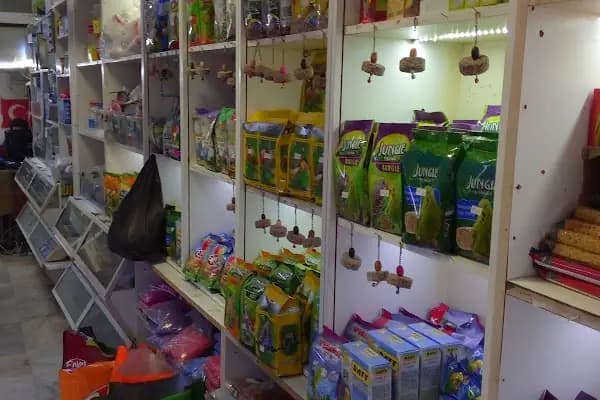 Stad Pet Shop - Evcil hayvan mağazası - Bursa Harmancık