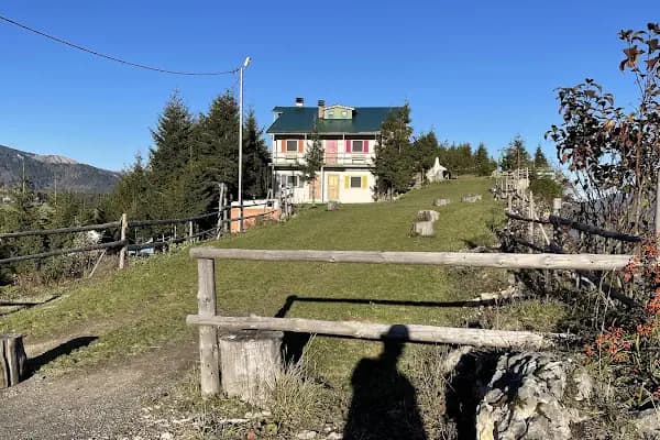 Kayaüstü Dağ Evi - Otel - Trabzon Düzköy