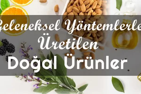 Gemlik Zeytincimiz - Gıda Pazarı - Bursa Gemlik