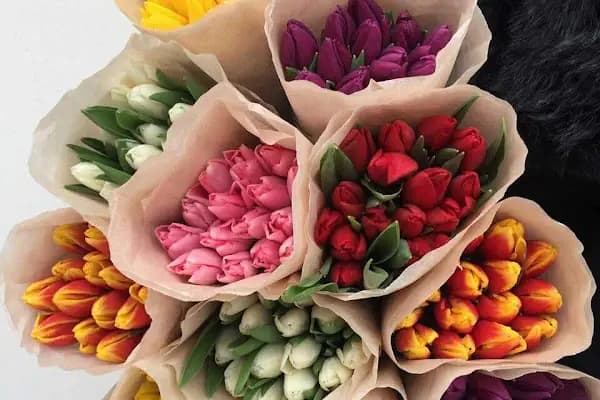 Alanya Anka florist flower çiçek çiçekçi - Çiçekçi - Antalya Alanya