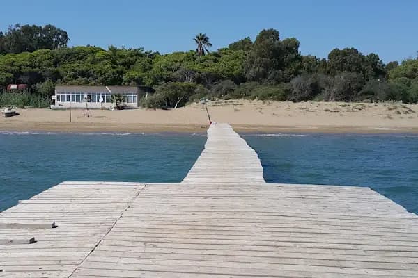 Çukurova Üniversitesi Kamp Alanı - Kamp Alanı - Adana Yumurtalık