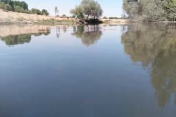 Altaş Köyü Muhtarlığı