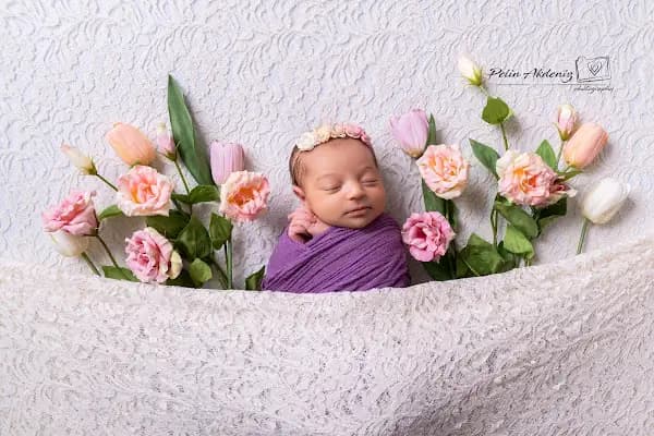 Bebek/Çocuk Fotoğraf Stüdyosu Pelin Akdeniz - Fotoğraf Stüdyosu - İstanbul Avcılar