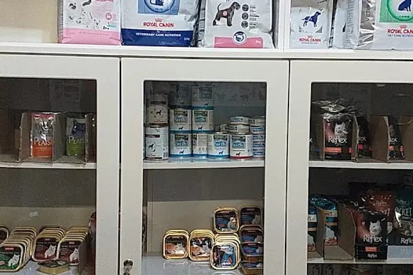 Peteriner Veteriner Kliniği - Veteriner - İstanbul Şişli