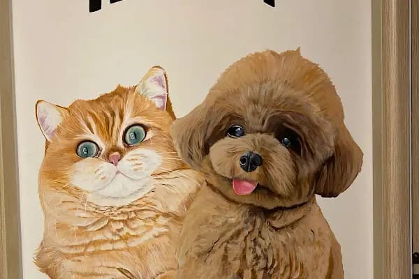 HAMLET VETERİNER KLİNİĞİ | 7/24 Acil Veteriner I 23 Nisan Veteriner I NİLÜFER Veteriner I Altınşehir Veteriner I - Veteriner - Bursa Büyükorhan