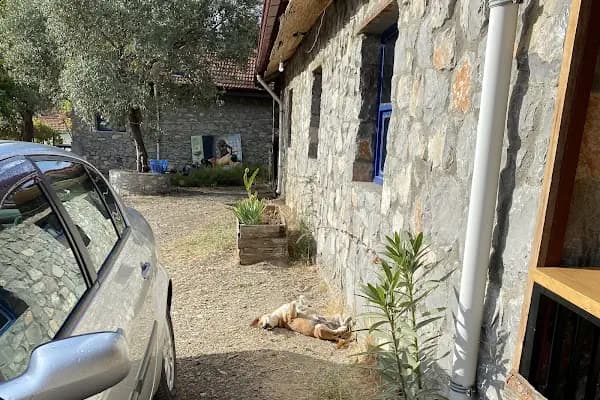 togo iztuzu stonehouse - Kat Hizmeti Sunulan Konaklama - Muğla Bodrum