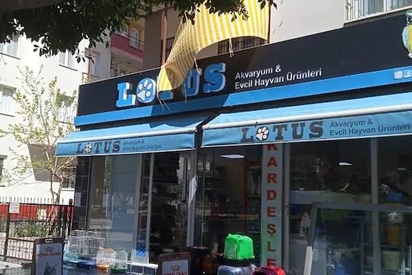 Lotus Akvaryum ve Evcil Hayvan Ürünleri - Akvaryum Mağazası - Adana Çukurova