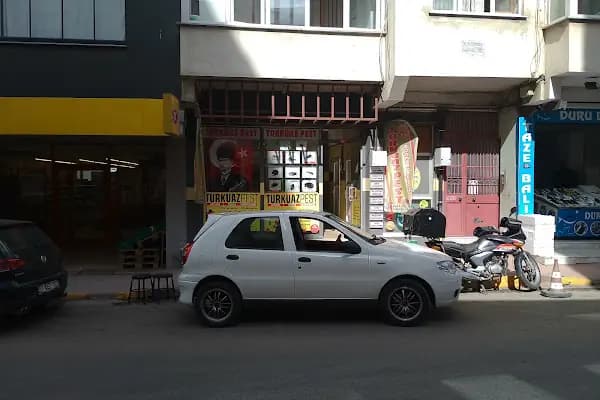 TURKUAZPEST - Haşere İlaçlama Hizmeti - Trabzon Maçka