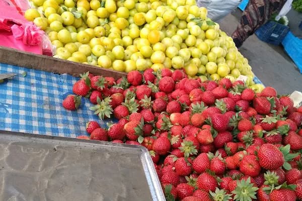 Emin Civelek Semt Pazarı - Pazar - Adana Ceyhan