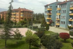 Arı Sitesi