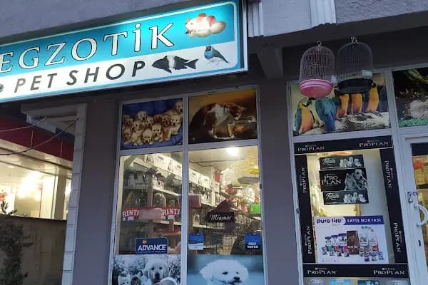 Egzotik Pet Shop Çerkezköy - Evcil Hayvan Malzemeleri Mağazası - Tekirdağ Çerkezköy