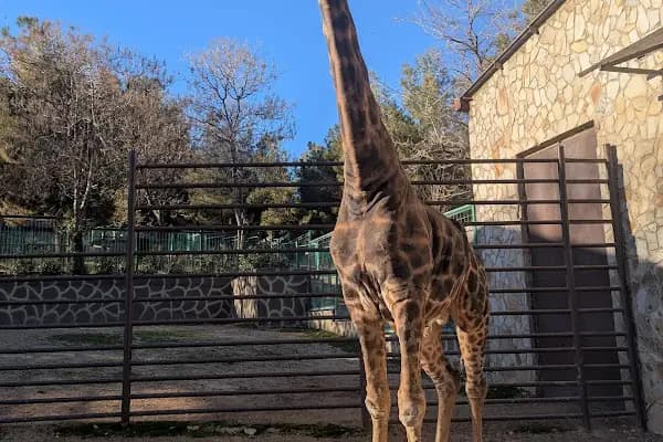 Hayvanat Bahçesi Zoo - Hayvanat Bahçesi - Gaziantep Oğuzeli