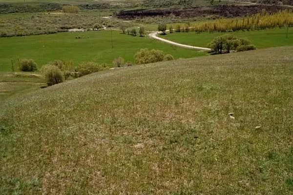 Gökçebük - Yerleşim Yeri - Erzurum Yakutiye