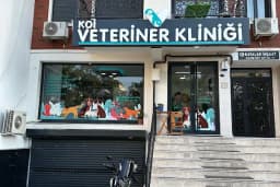 Koi Veteriner Kliniği