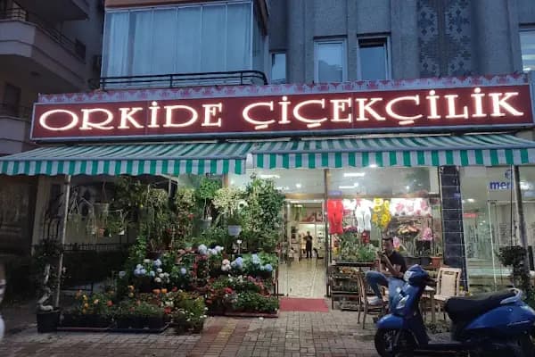 Orkide Çiçekçilik Alanya - Çiçekçi - Antalya Alanya