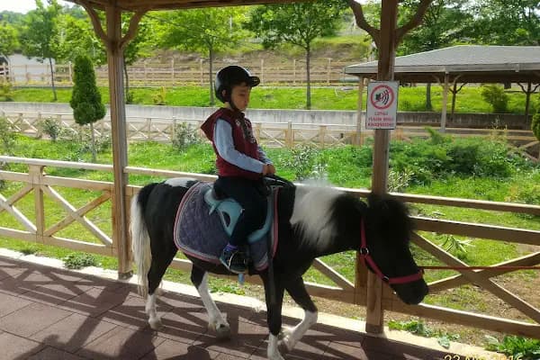 Atlı Spor Tesisleri - Kafe - Samsun Atakum