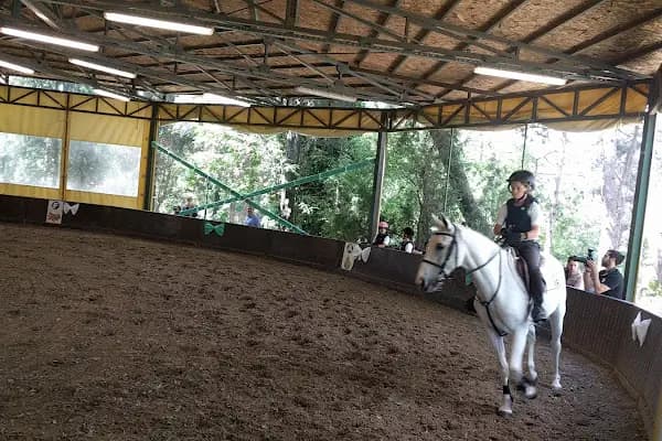 İstanbul Atlı Spor Kulübü - Spor kompleksi - İstanbul Zeytinburnu