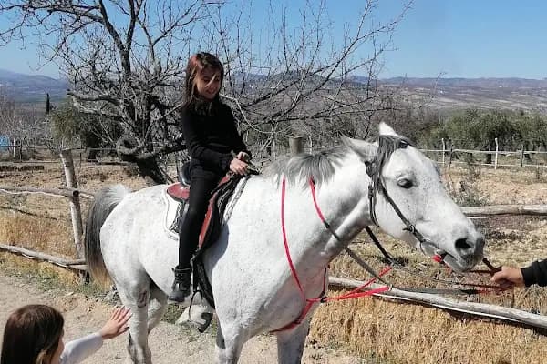Otantik at çiftliği - At Eğitmeni - Gaziantep Şehitkamil