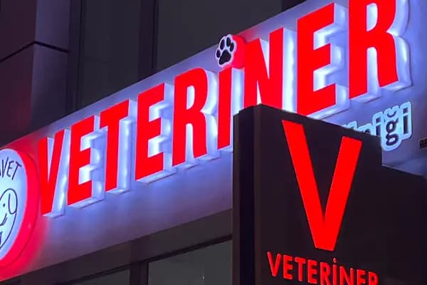 Vivavet Veteriner Kliniği | Bahçelievler - Veteriner - İstanbul Bahçelievler