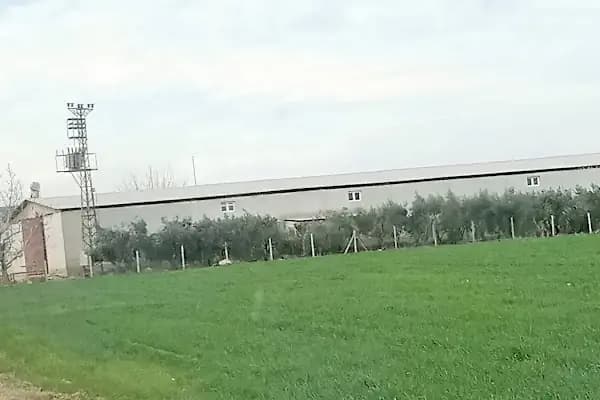 KOMOLİVA Tarım Pirina ve Bitkisel Yağ San. Tic.AŞ. - Geri Dönüşüm Merkezi - Adana Çukurova