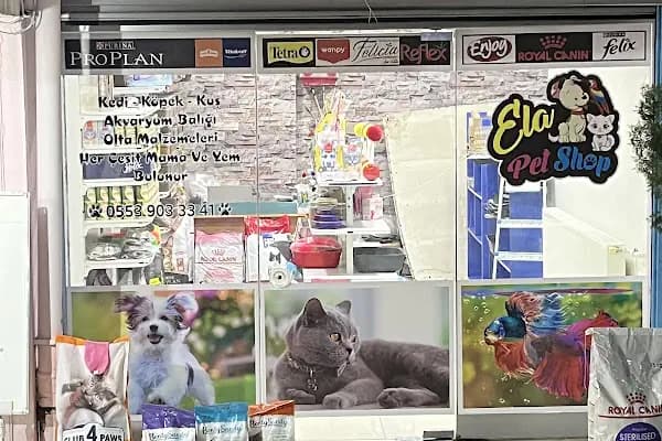 Ela Petshop - Evcil hayvan mağazası - Kocaeli Derince
