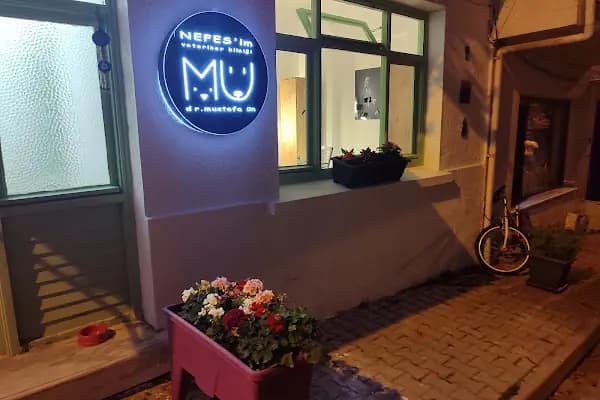 Nefesim veteriner kliniği - Veteriner - İstanbul Adalar