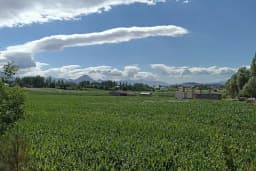 Altaş