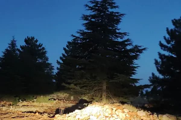 Rotasız Gezginler Kamp Alanı 2 - Kamp Alanı - Gaziantep Şehitkamil