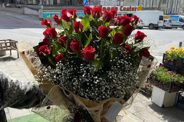 Avcılar Buse çiçekçilik - Çiçekçi - İstanbul Avcılar