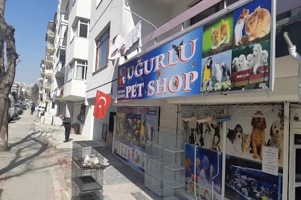 uğurlu pet shop - Evcil hayvan mağazası - Ankara Akyurt