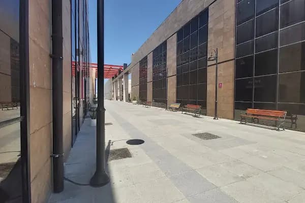 İstanbul Üniversitesi Spor Bilimleri Fakültesi - Okul - İstanbul Avcılar