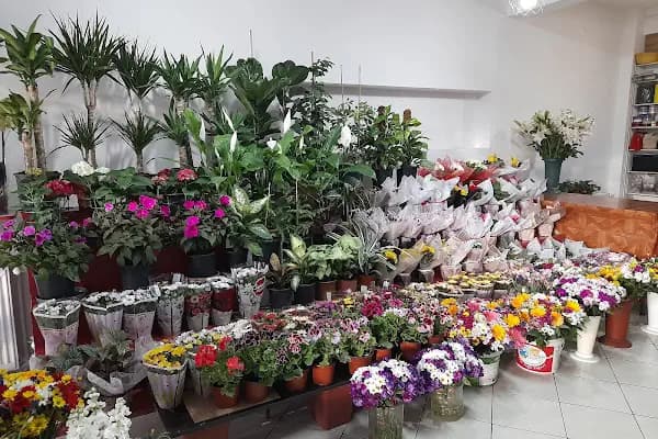Betül Çiçek Evi - Çiçekçi - Ankara Altındağ