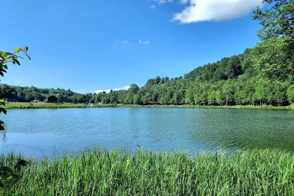 Çamlıca Gölü - Turistik Yer - Sakarya Kocaali