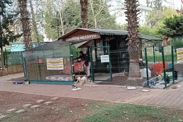 Güzelyalı Kedi Evi - Hayvanat Bahçesi - Adana Çukurova