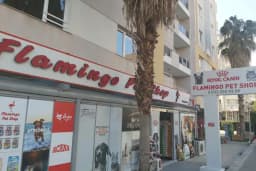 Flamingo Pet Shop