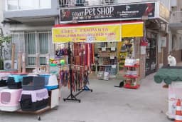 Golden Pet Shop Güzelyalı Göztepe stadı