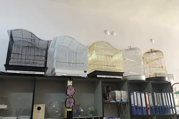 Hobi Pet Shop - Evcil hayvan mağazası - Balıkesir Bigadiç