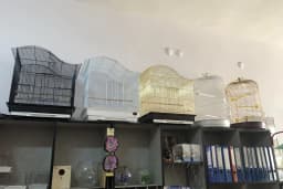 Hobi Pet Shop