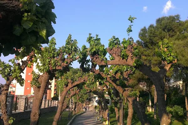Şehit Piyade Onbaşı Aydın Uçar Parkı - Park - İzmir Bayındır