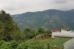 ÇİLEKÇİ ALİ MISIR
