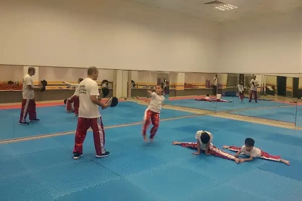 ALİ PEÇEN SPORTİF Voleybol ve Basketbol Okulu, Üst Göztepe-Esatpaşa Şubesi - Spor Okulu - İstanbul Küçükçekmece