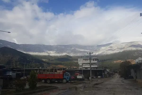 Turunçova Hali - Gıda Pazarı - Antalya Finike
