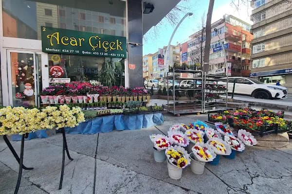 Acar Çiçek - Çiçekçi - Ankara Çankaya