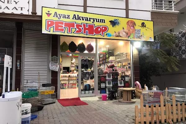 Ayaz Akvaryum Pet - Akvaryum Mağazası - Ankara Keçiören