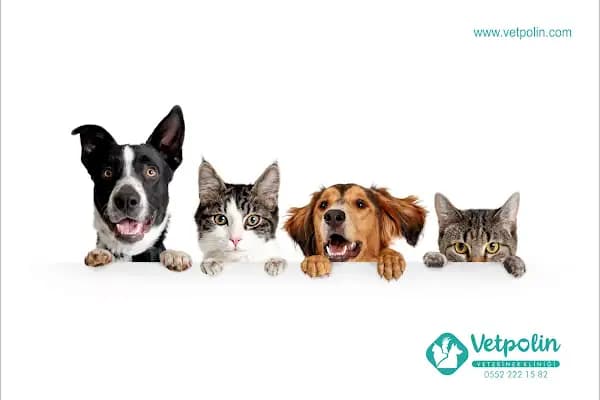 VETPOLİN VETERİNER KLİNİĞİ - Veteriner - Mersin Yenişehir