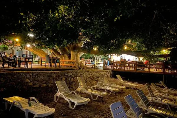 Marvel Tree Hotel - Otel - Mersin Bozyazı
