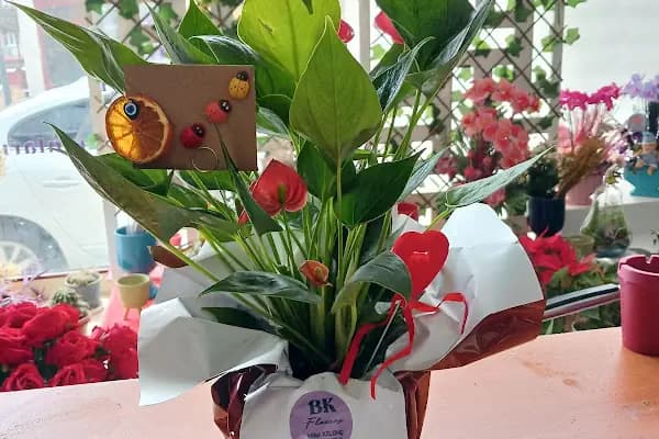 Bk Flowers Çiçek Stüdyosu - Çiçekçi - Kahramanmaraş Afşin