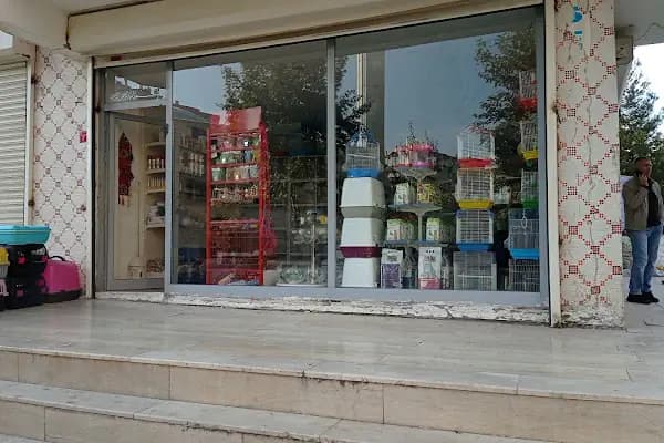 NATUREL AKVARYUM - Evcil hayvan mağazası - Diyarbakır Kayapınar